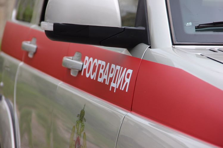В Ноябрьске росгвардейцы пришли на помощь жертве нападения злоумышленников и задержали подозреваемых в преступлении