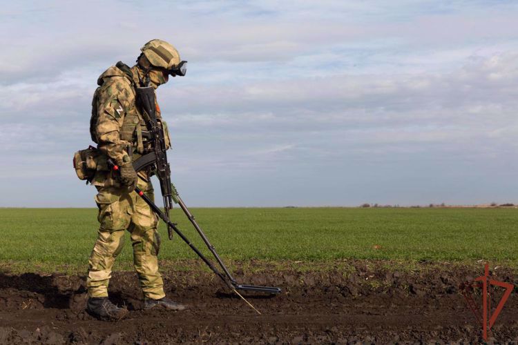 Росгвардия показала работу саперов в районе специальной военной операции (видео)