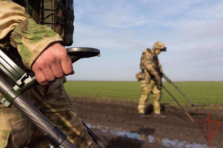 Росгвардия показала работу саперов в районе специальной военной операции (видео)