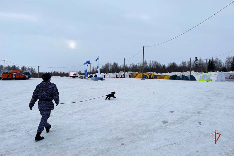 На Ямале сотрудники Росгвардии приняли участие в межрегиональных учениях «Безопасная Арктика - 2023»