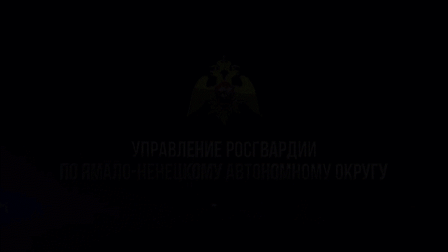 Более 300 выездов по сигналу «тревога» в апреле совершили экипажи Росгвардии на Ямале