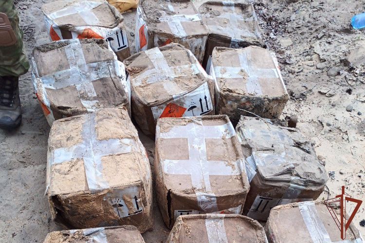 В ЛНР бойцы Росгвардии обнаружили и обезвредили взрывное устройство весом в тонну (ВИДЕО)