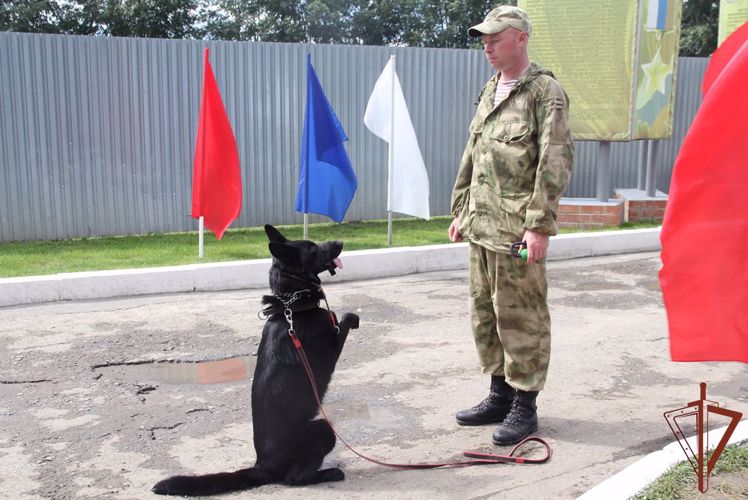 В Уральском округе Росгвардии состоялись мероприятия, посвященные Дню кинолога (ВИДЕО)