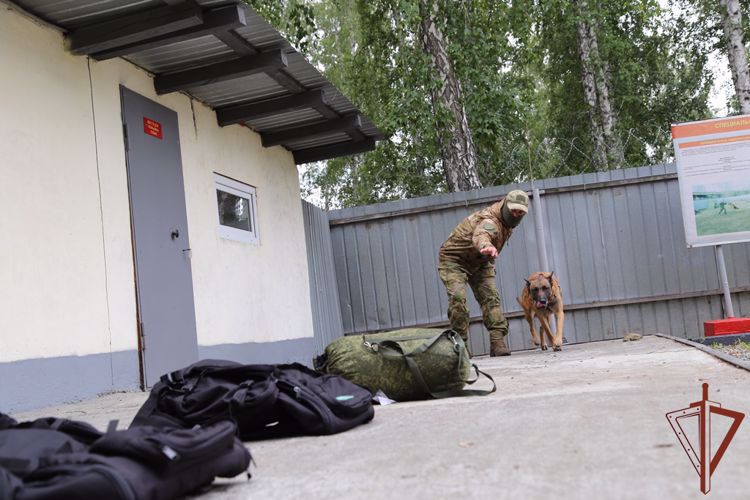 В Уральском округе Росгвардии состоялись мероприятия, посвященные Дню кинолога (ВИДЕО)