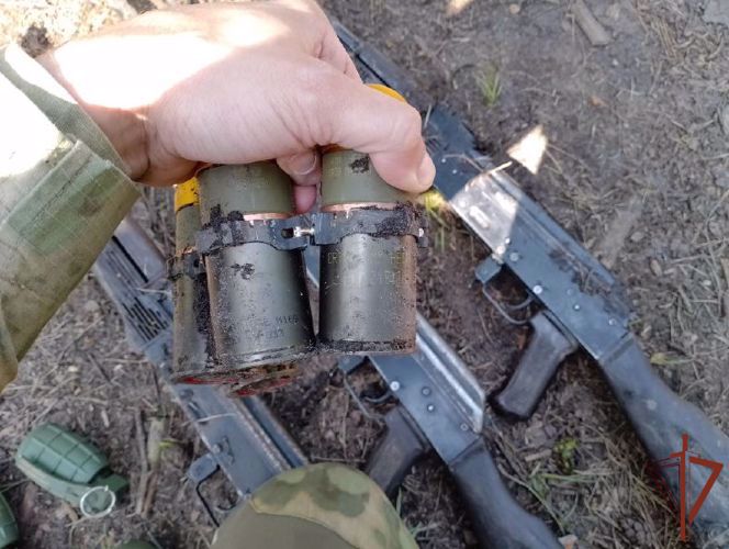 Росгвардейцы пресекли попытку диверсий в лесном массиве ЛНР