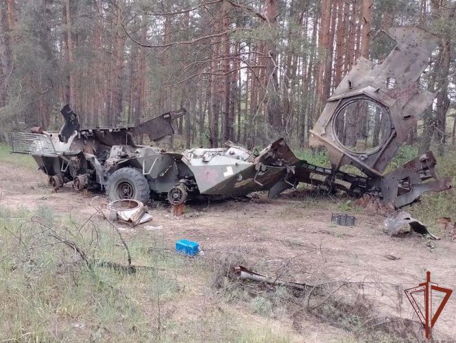 Росгвардейцы пресекли попытку диверсий в лесном массиве ЛНР