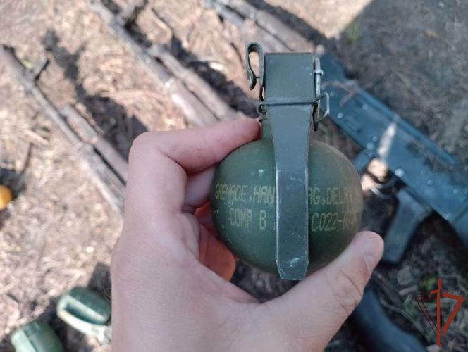 Росгвардейцы пресекли попытку диверсий в лесном массиве ЛНР