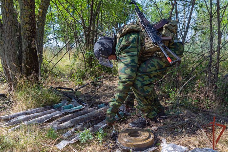 Росгвардейцы обнаружили тайник с боеприпасами в лесном массиве ЛНР (видео)