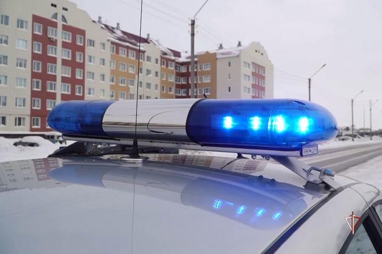 Росгвардейцы оказали помощь автовладелице с ребенком после ДТП на Ямале (ВИДЕО)