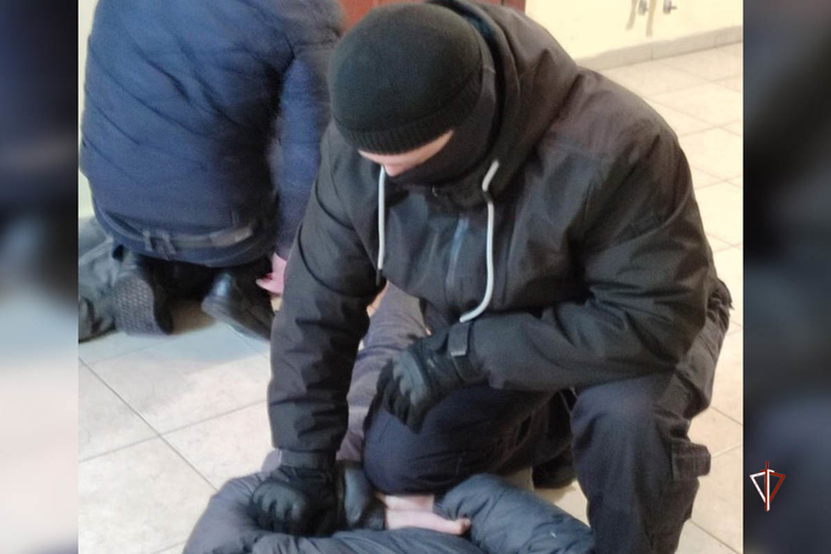 Сбыт наркотиков в крупном размере пресечен при содействии Росгвардии на Ямале