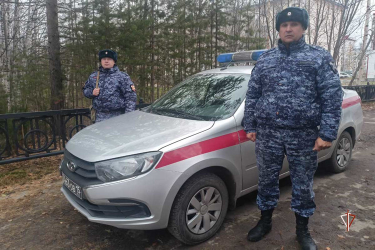 На Ямале сотрудники Росгвардии спасли провалившуюся под лёд девочку  (видео)