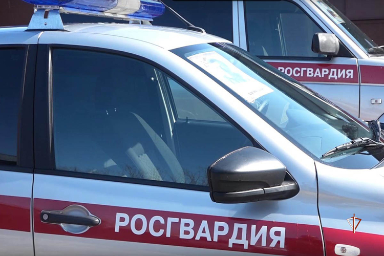 «Бессмертный автополк» на Ямале: росгвардейцы присоединились к патриотической акции к юбилею Победы