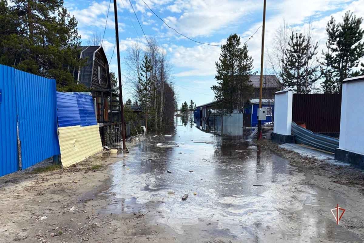 На Ямале росгвардейцы помогают пострадавшим от весеннего паводка