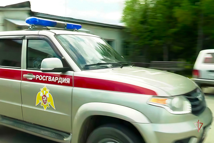 На Ямале сотрудники Росгвардии помогли заблудившейся женщине-грибнику найти дорогу из леса