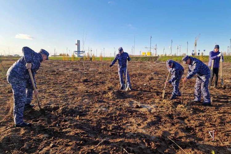 На Ямале сотрудники Росгвардии заложили «Сад Памяти» к 50-летию города Новый Уренгой (видео)