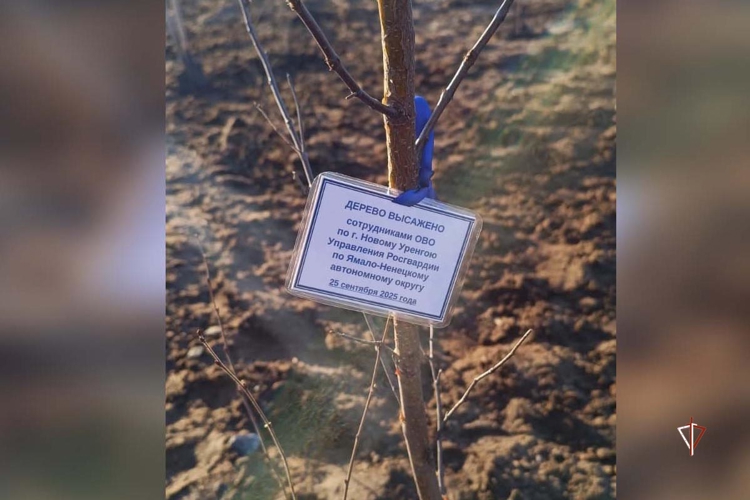 На Ямале сотрудники Росгвардии заложили «Сад Памяти» к 50-летию города Новый Уренгой (видео)