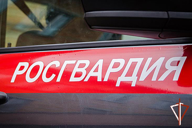 На Ямале подведены итоги деятельности вневедомственной охраны за апрель 2026 года