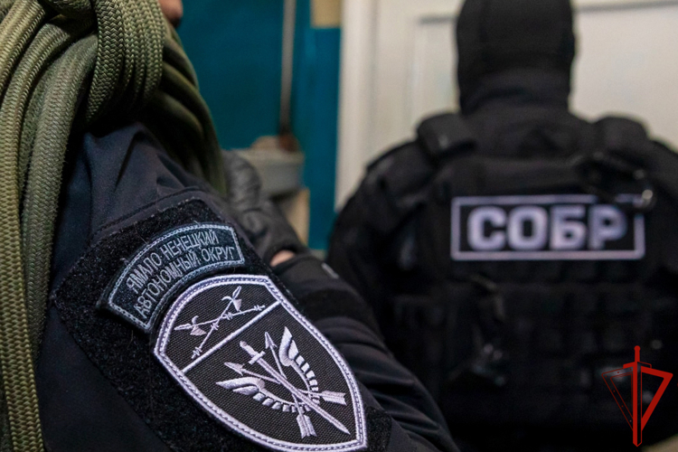 Бойцы подразделений спецназа Росгвардии и ФСИН провели совместное учение в арктическом регионе